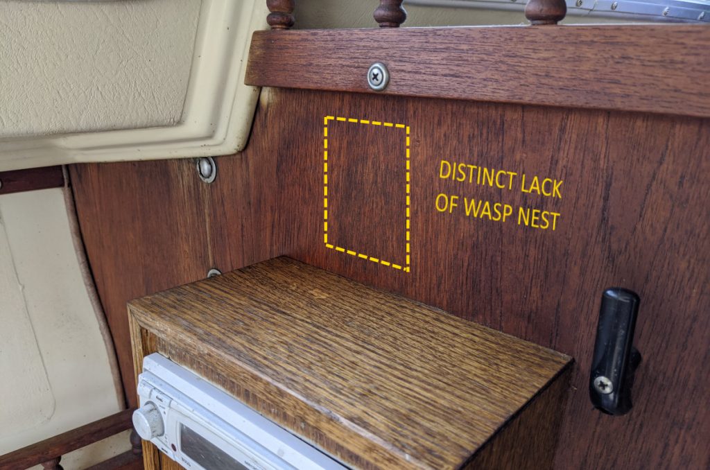 Distinct Lack of Wasp Nest
